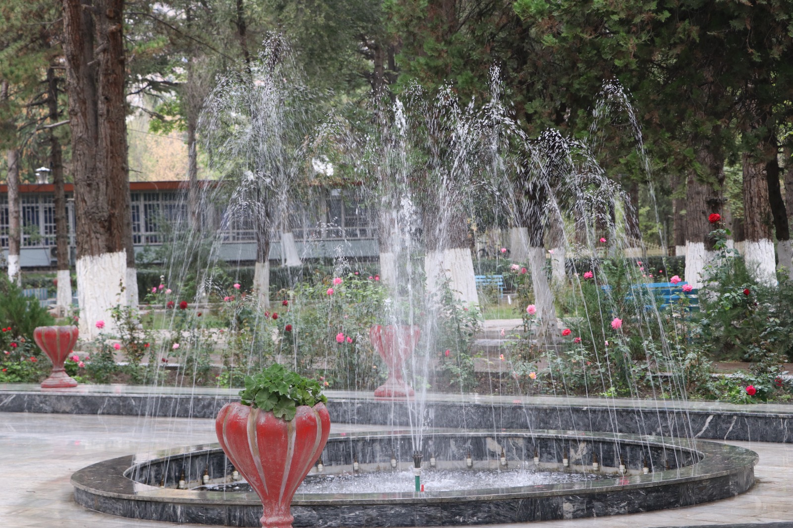 د لوړو زده کړو تحصیلي دریڅې ورکشاپ دایر شو